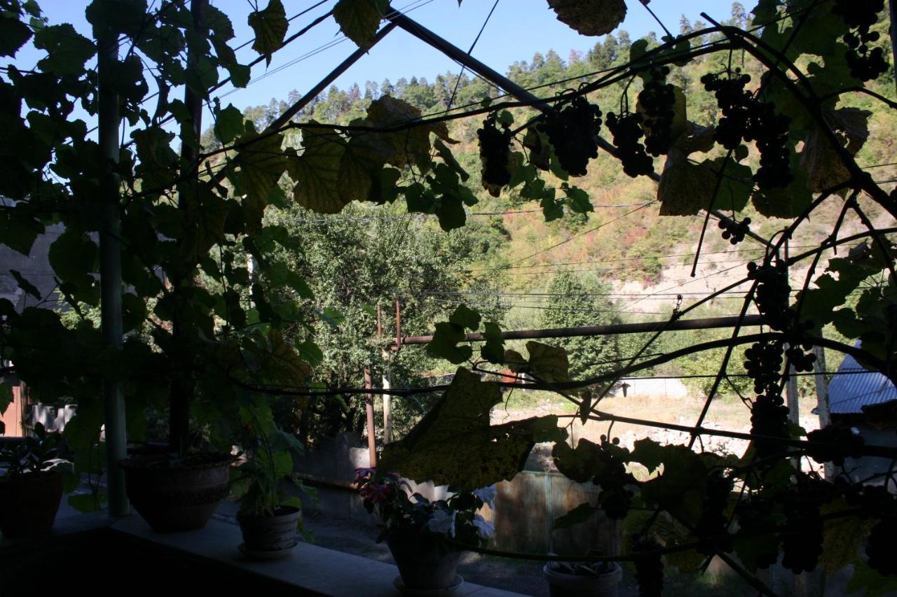 Guest House Nima Borjomi Luaran gambar